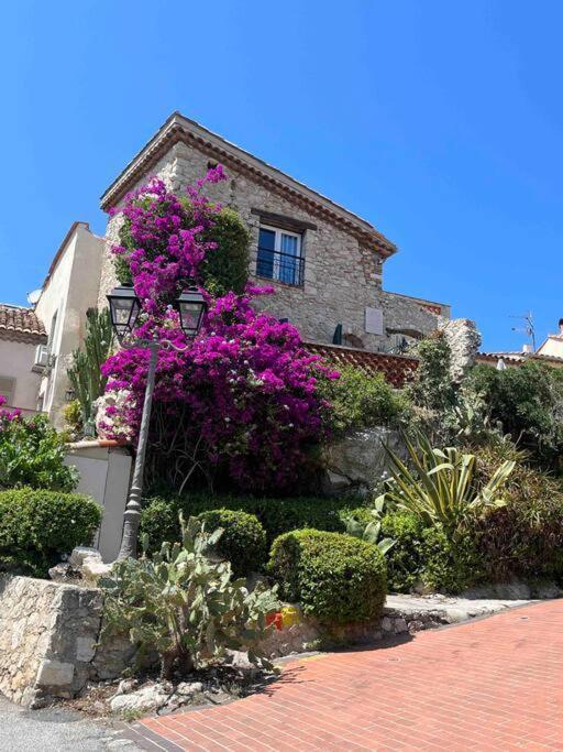 Moringa - New Unit For 2 Ac Close To Beach Antibes Buitenkant foto